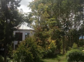 Jungle lodge & Camping site